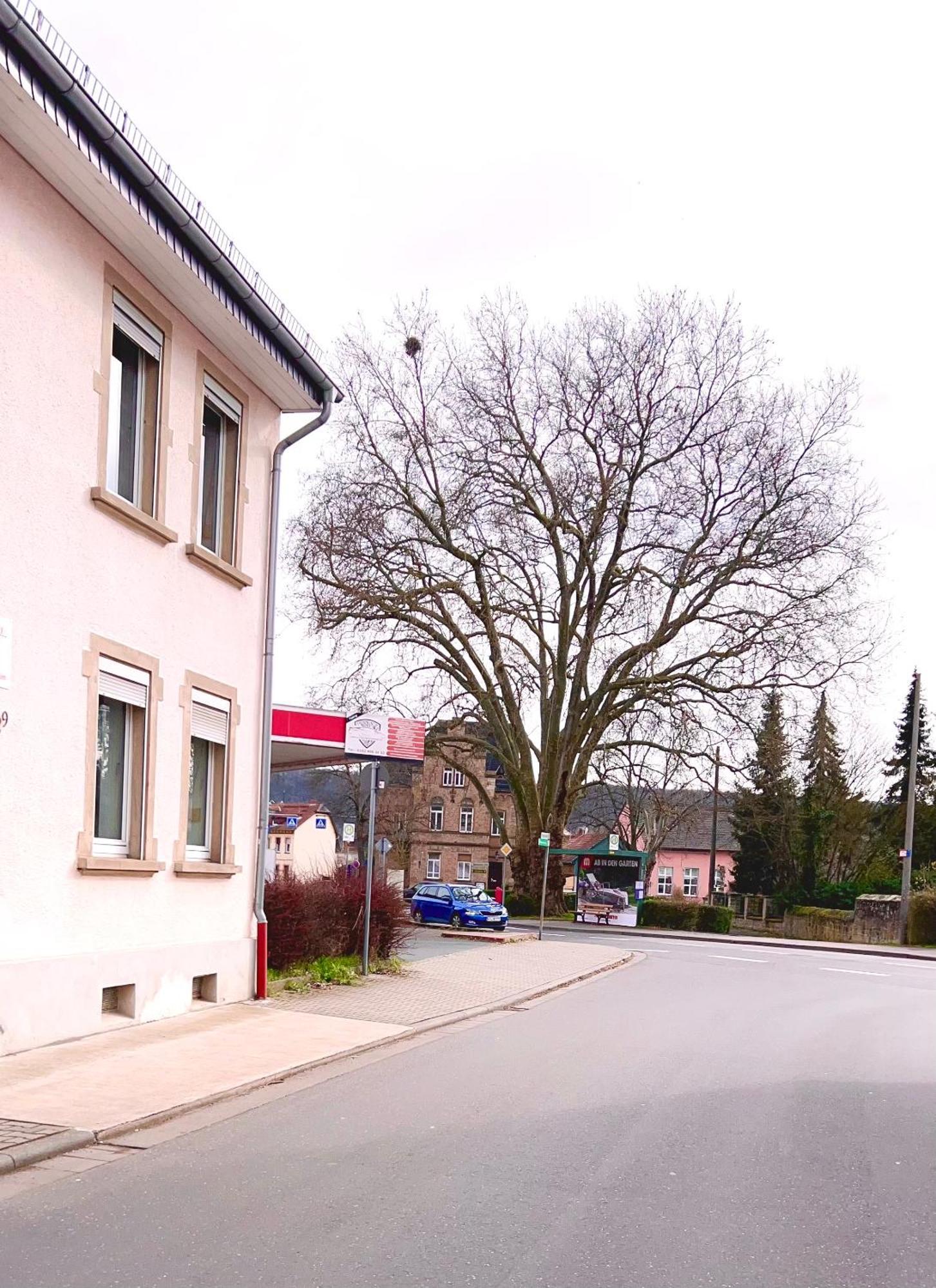 Vinaring Homestay Bad Sobernheim Kültér fotó